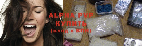 спайс Богданович