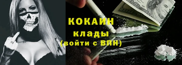 спайс Богданович