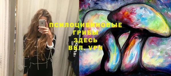 спайс Богданович